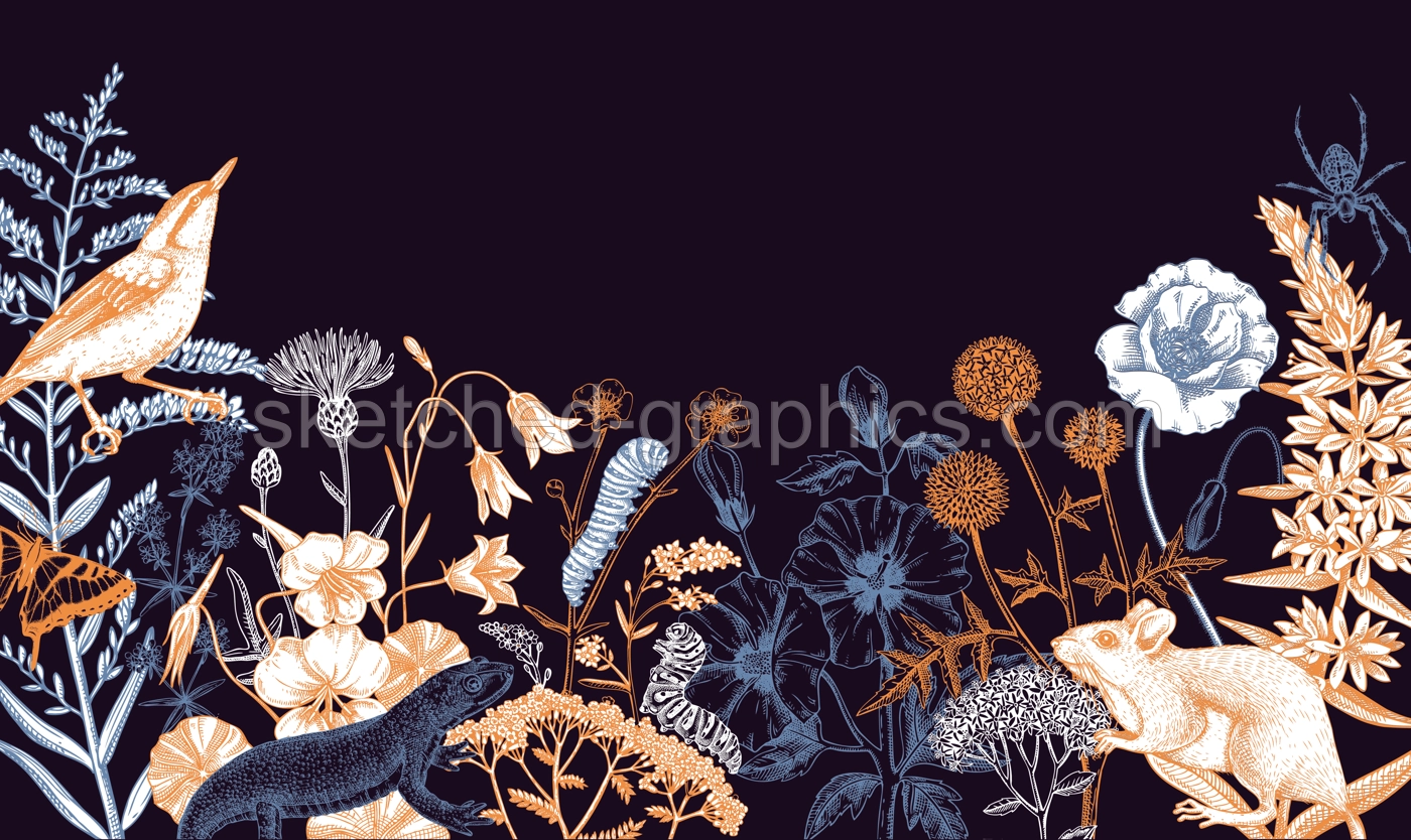 Summer design  in sketched style. Botanical drawings of wildflowers, herbs, meadows, berries, animals and birds. Vintage wildlife hand-drawn illustrations. Field plants background in color Illustration